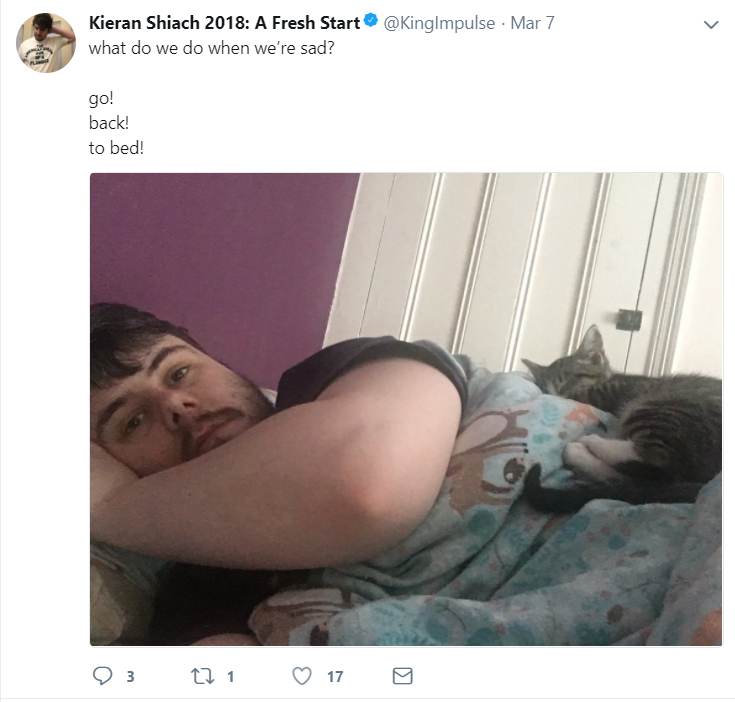 cat4.png