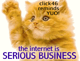 catbusiness.gif