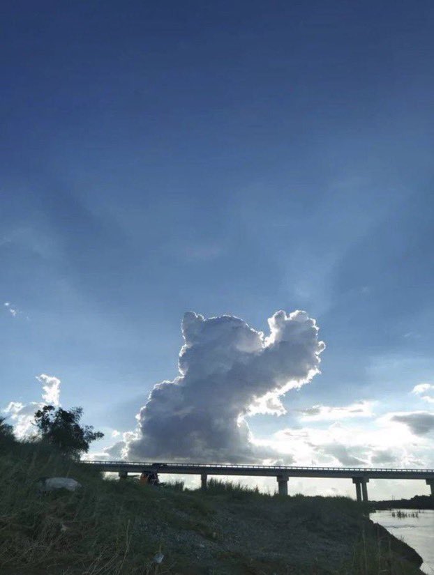 catcloud.jpg