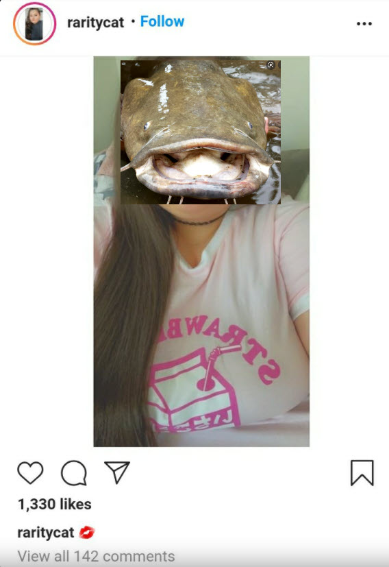 catfish.jpg