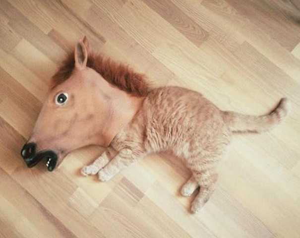 799261
