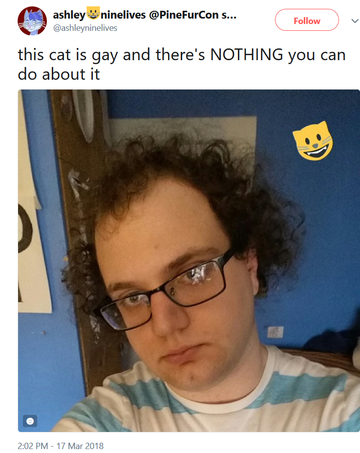 catisgay1.png