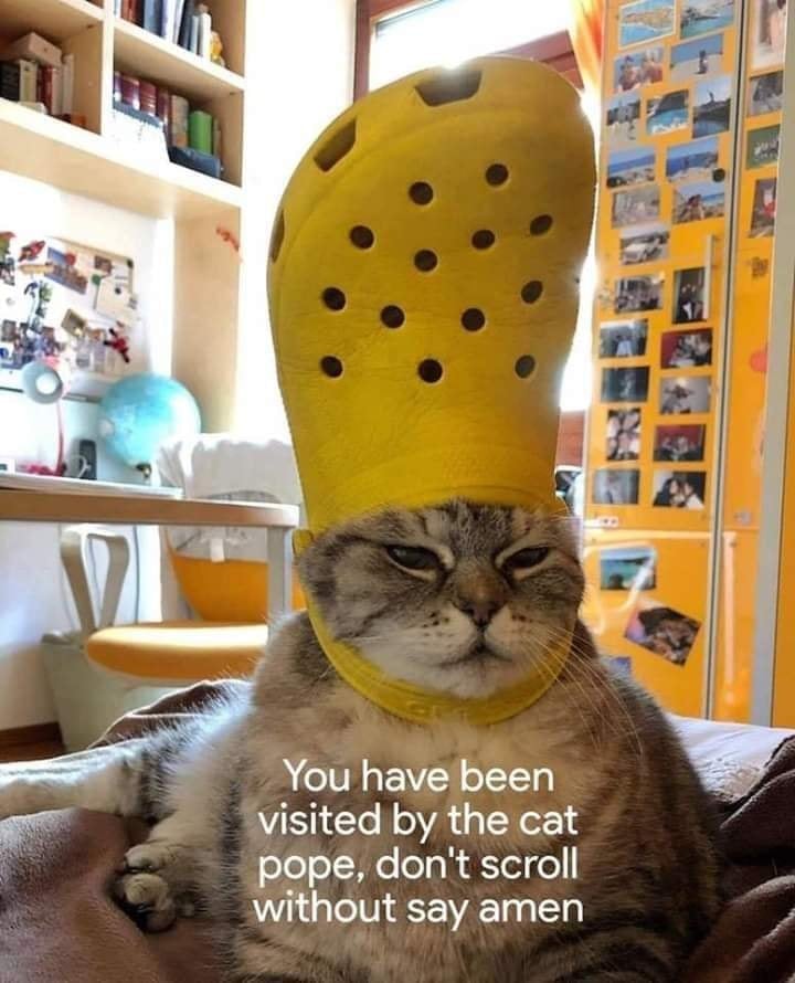 catpope.jpg