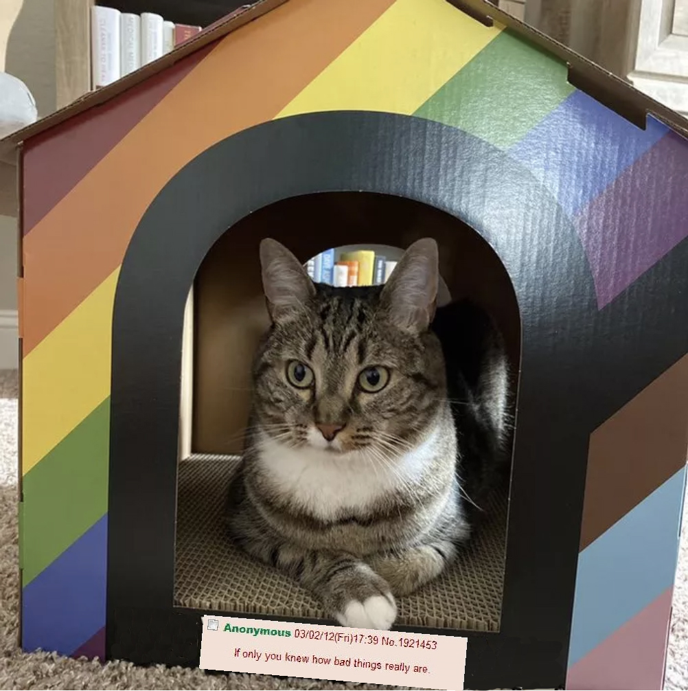 catpridesadd.jpg