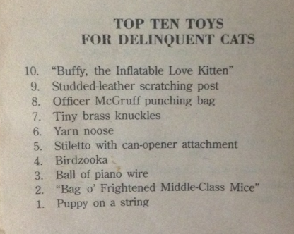 catss.png