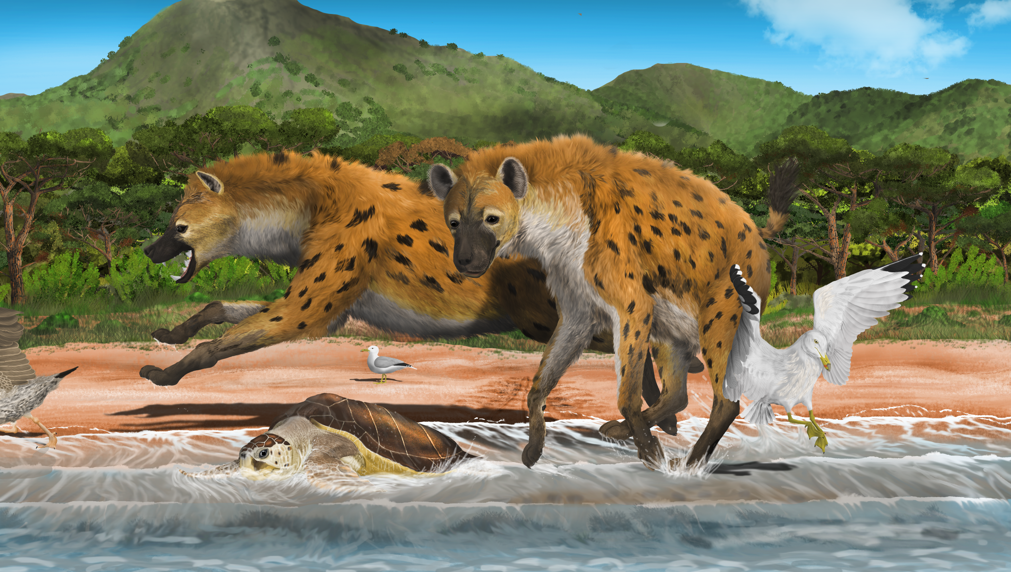 Cave Hyena.png