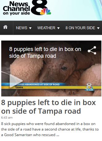 channel8.JPG