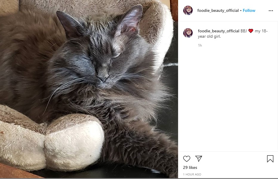 chantalkitty.jpg