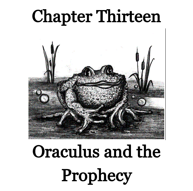 chap 13.png