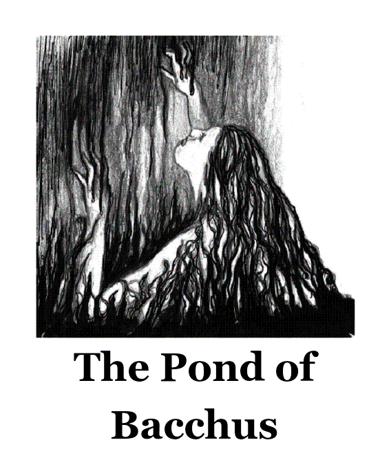chap 19.png