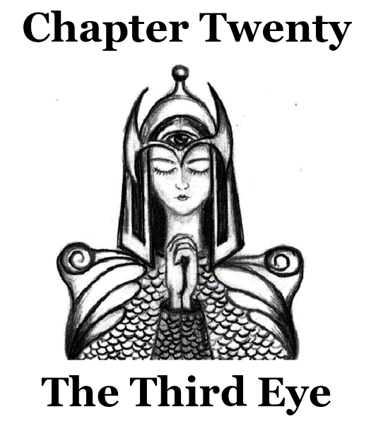 chap 20.png