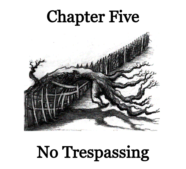 chap 5.png