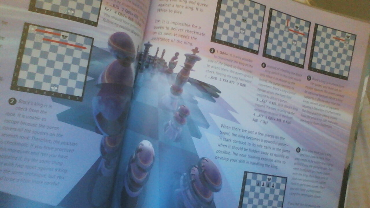 chess11.jpg