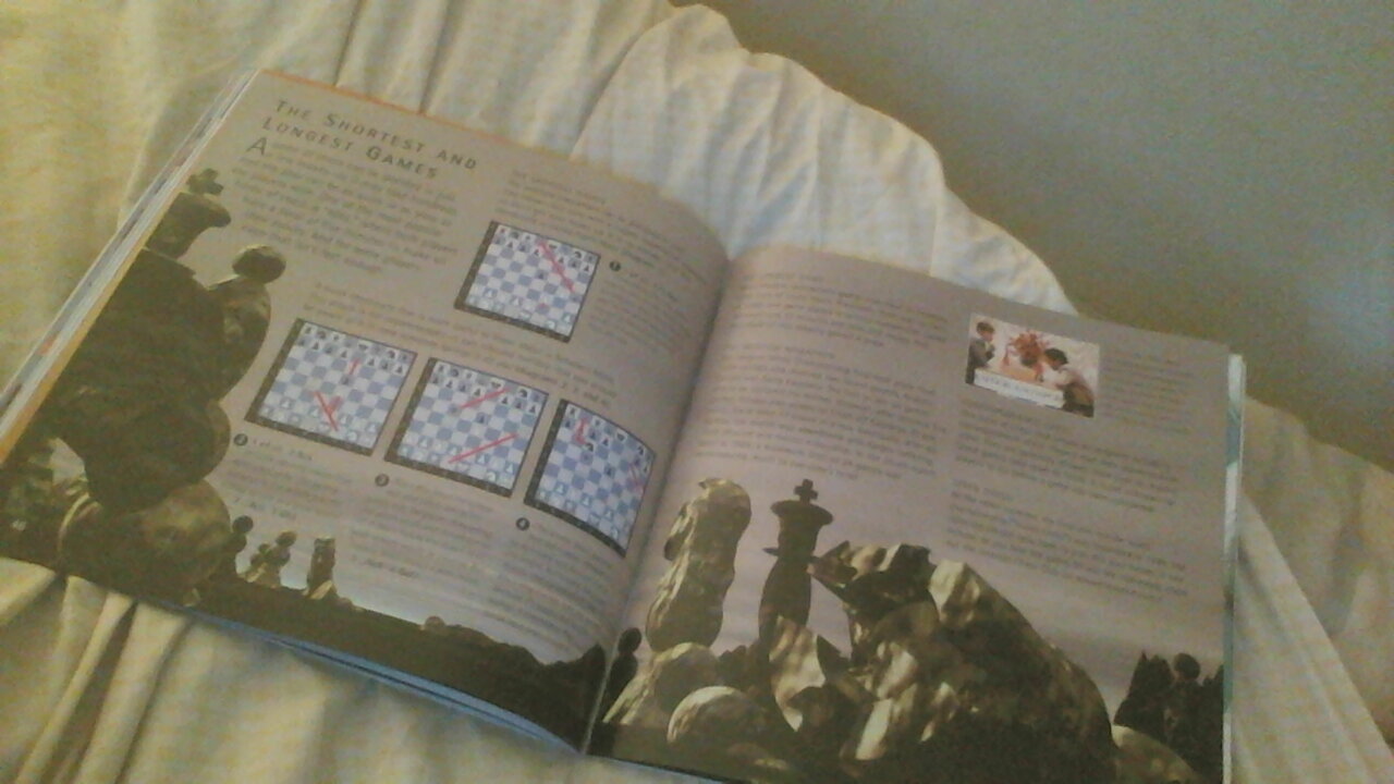 chess15.jpg