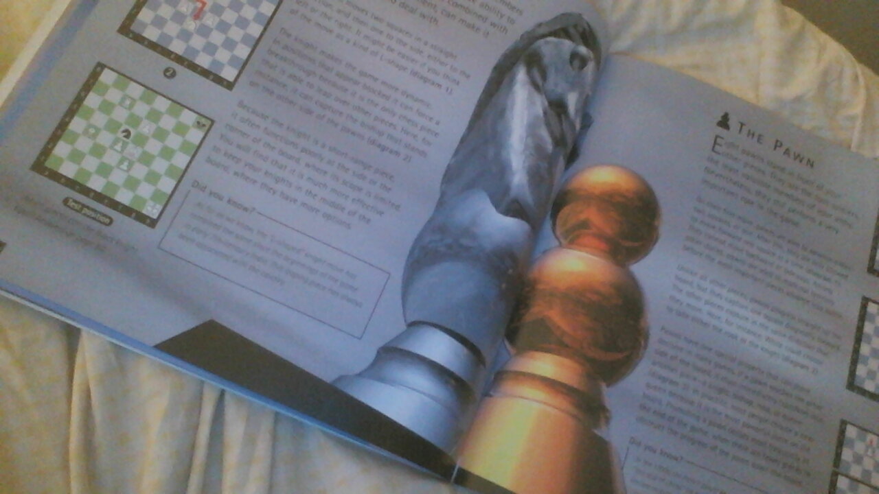 chess6.jpg