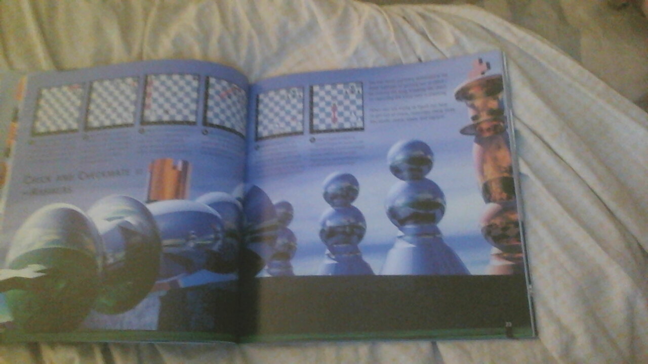 chess7.jpg