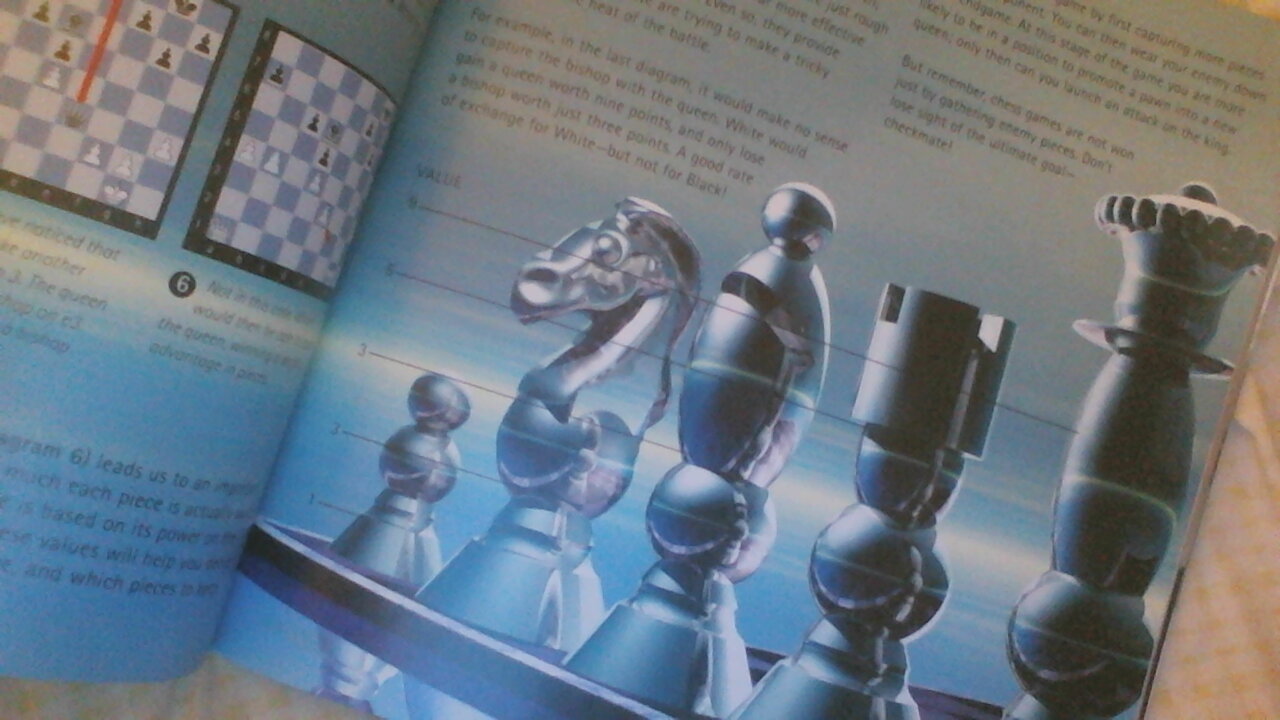 chess8.jpg