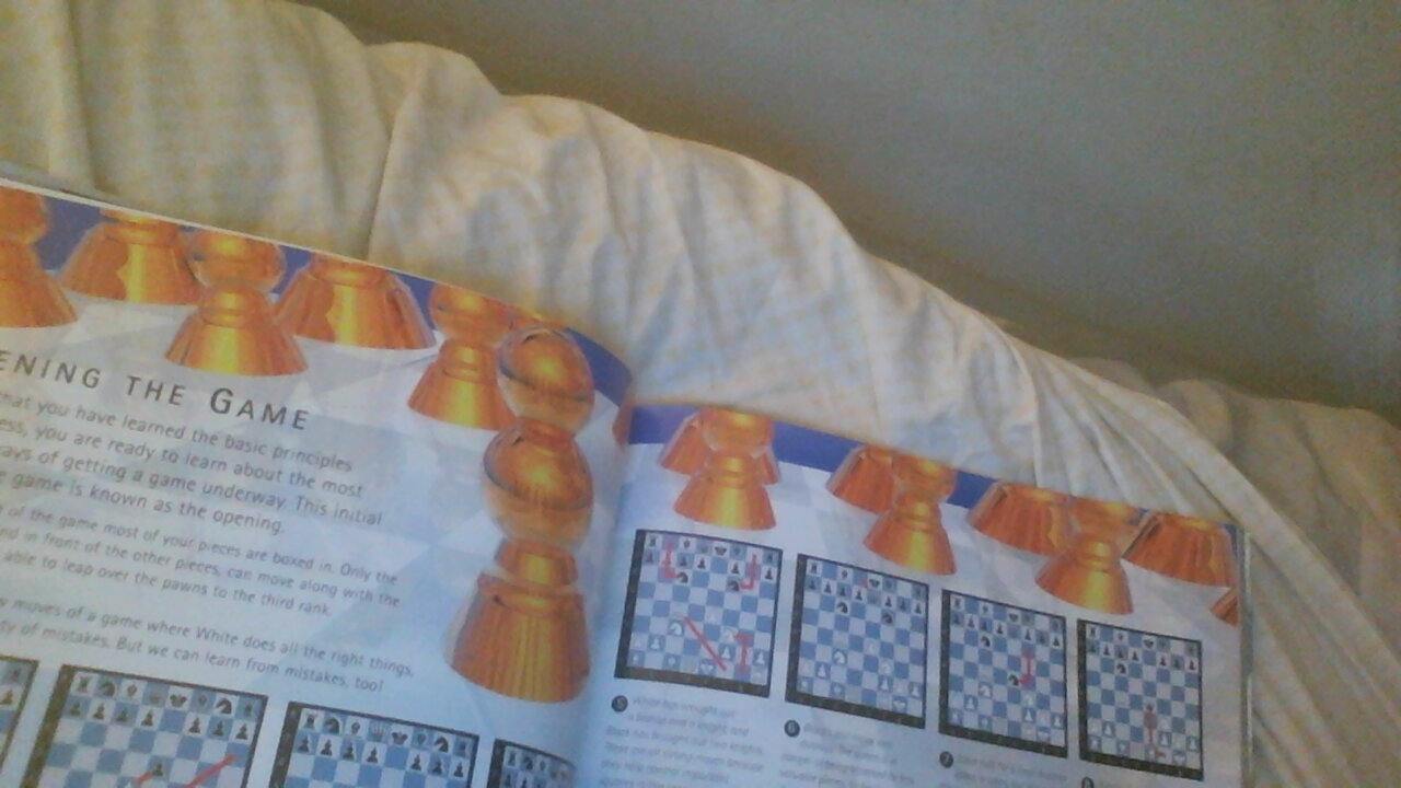chess9.jpg