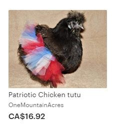 chicken tutu.png