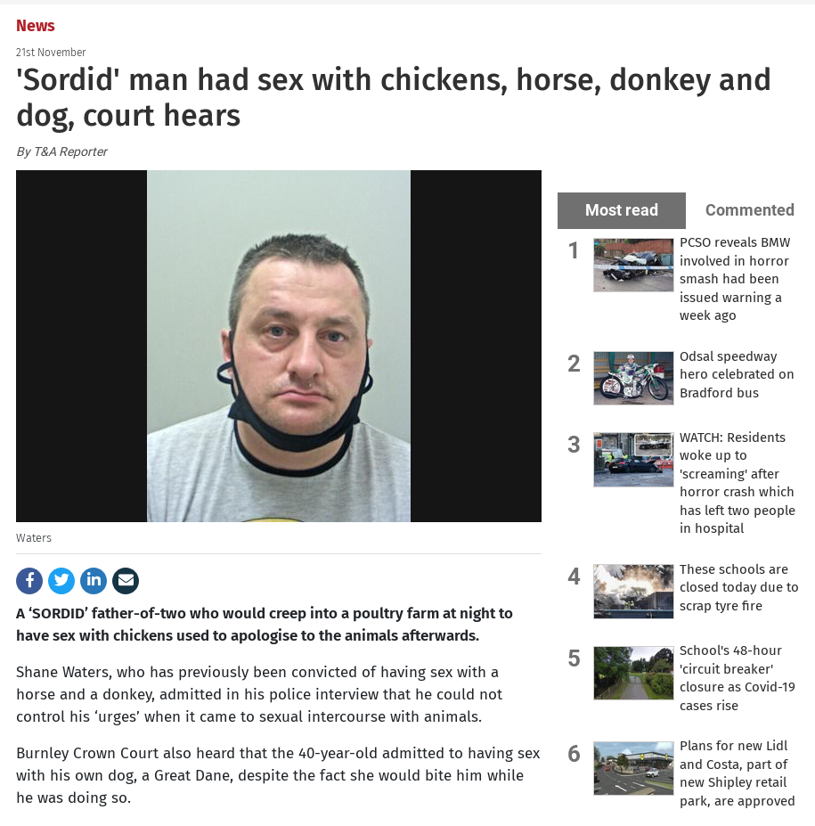 chickenfucker.png