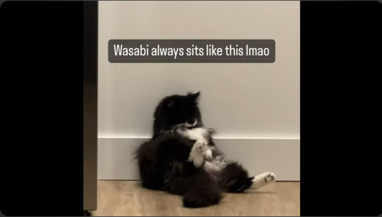 chillin.png