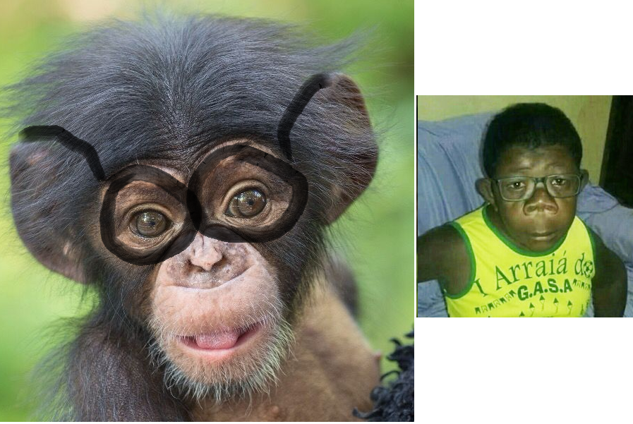 chimp.png