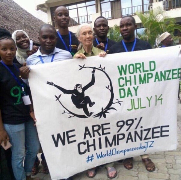 chimpday.jpg