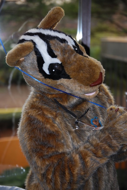chipmunk.jpg