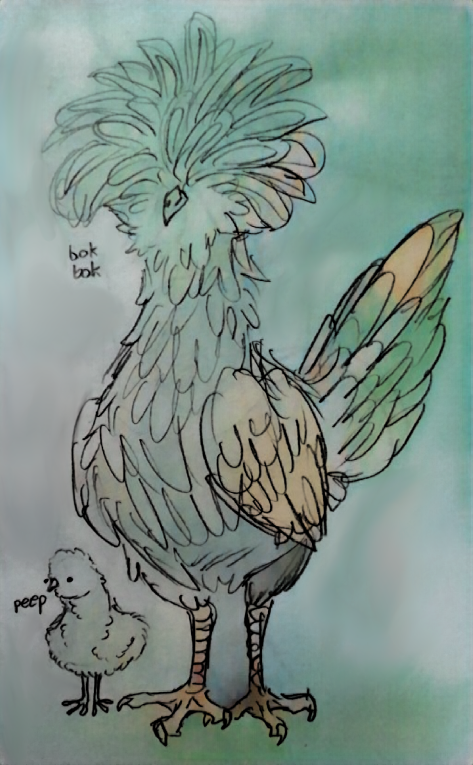 chook.png
