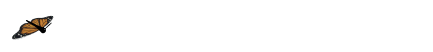 chrysalis2.gif
