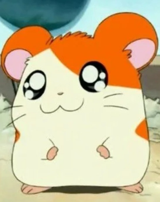 Chubtaro.jpg