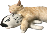 chuddie1.png