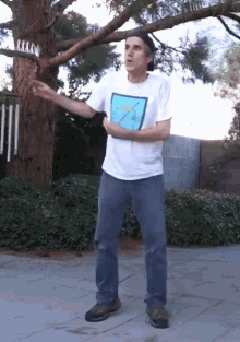 cia-terry.gif