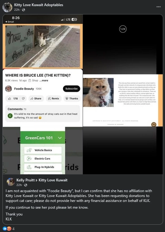 CIfnoa 5.31.25.webp