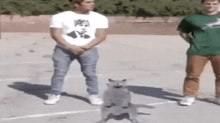 clipped.gif