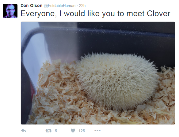 Clover.png