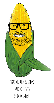 cob chipman.png