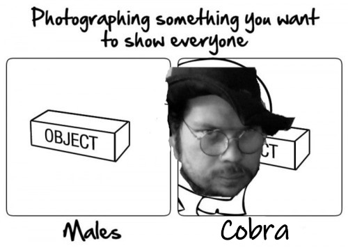 CobraPhoto.jpg