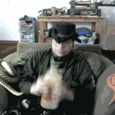 cobrashake.gif