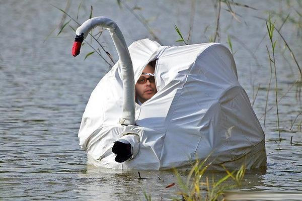 ColeSwan.jpg