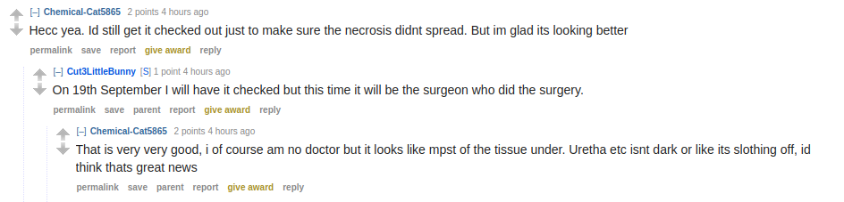 comment2.png