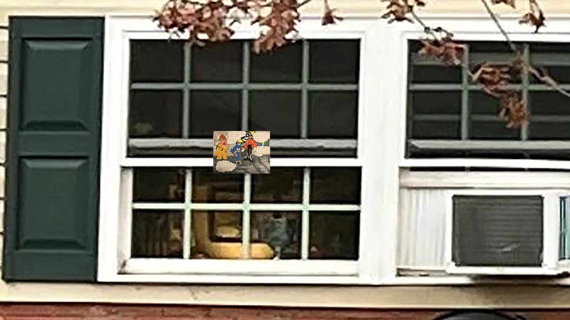 compare.jpg