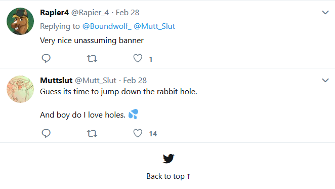 connections4.png