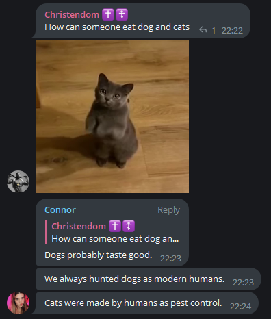 ConnorDogs3.png