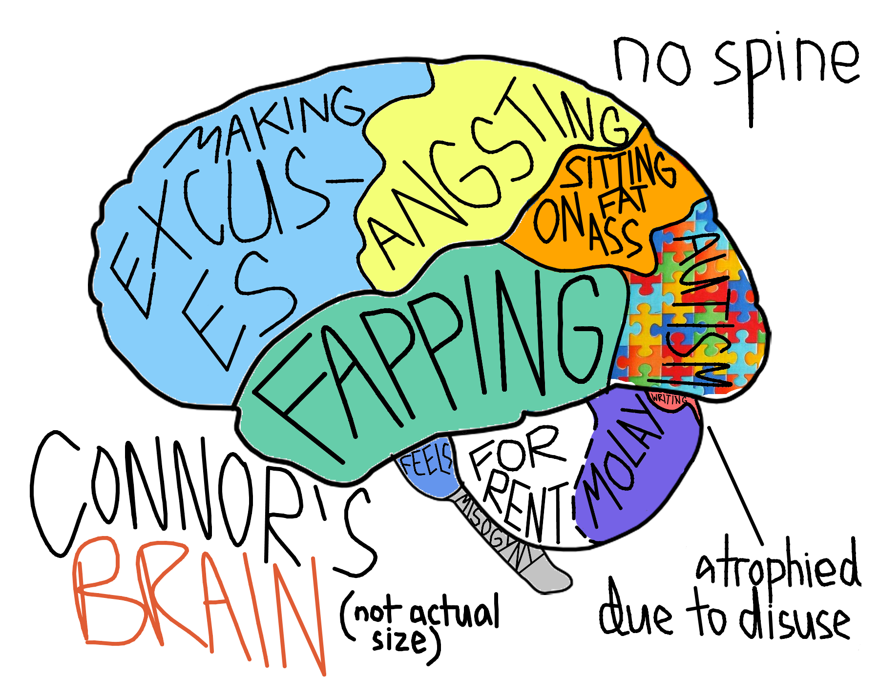 Connor's brain edited.png