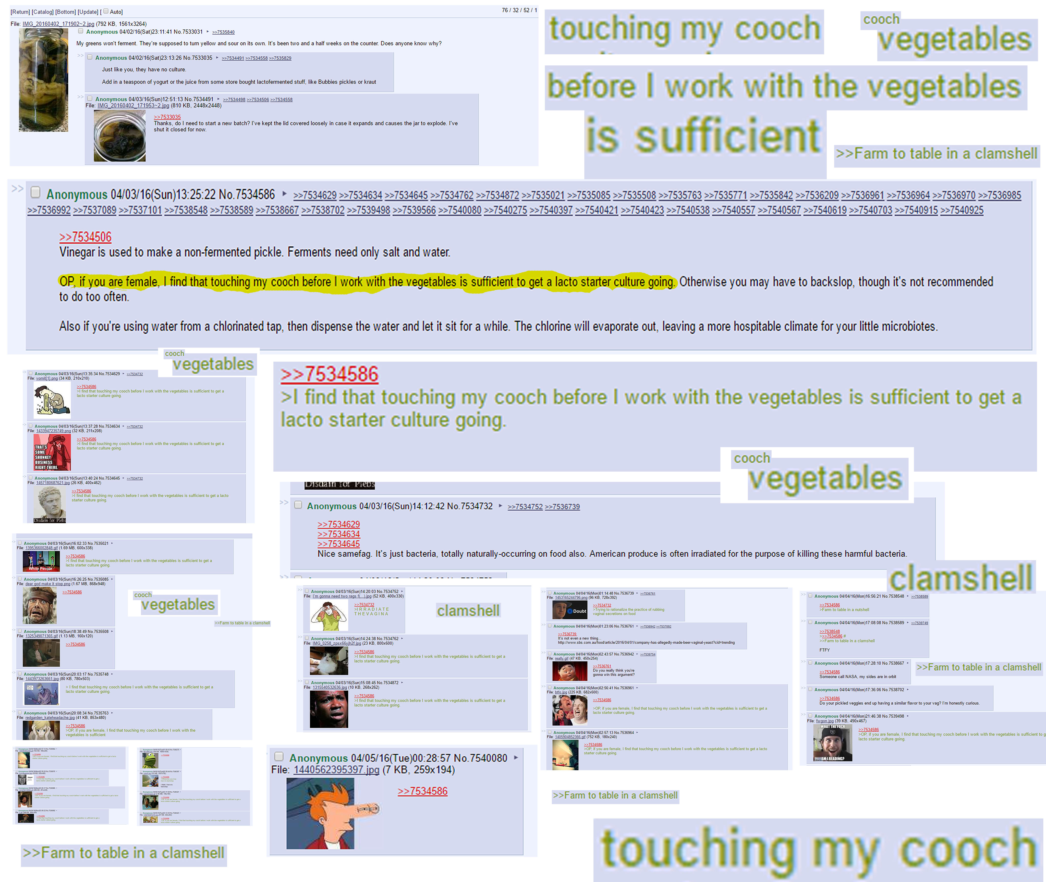 coochpickling.jpg