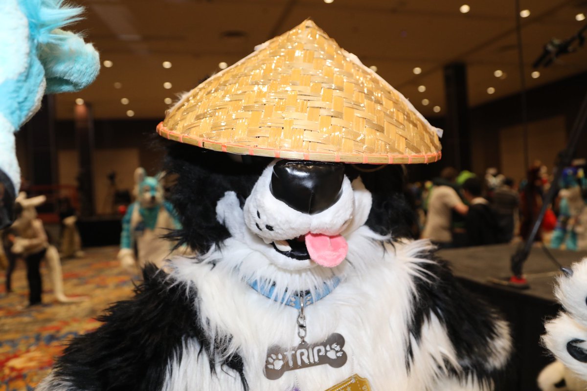 cooliehat3.jpg