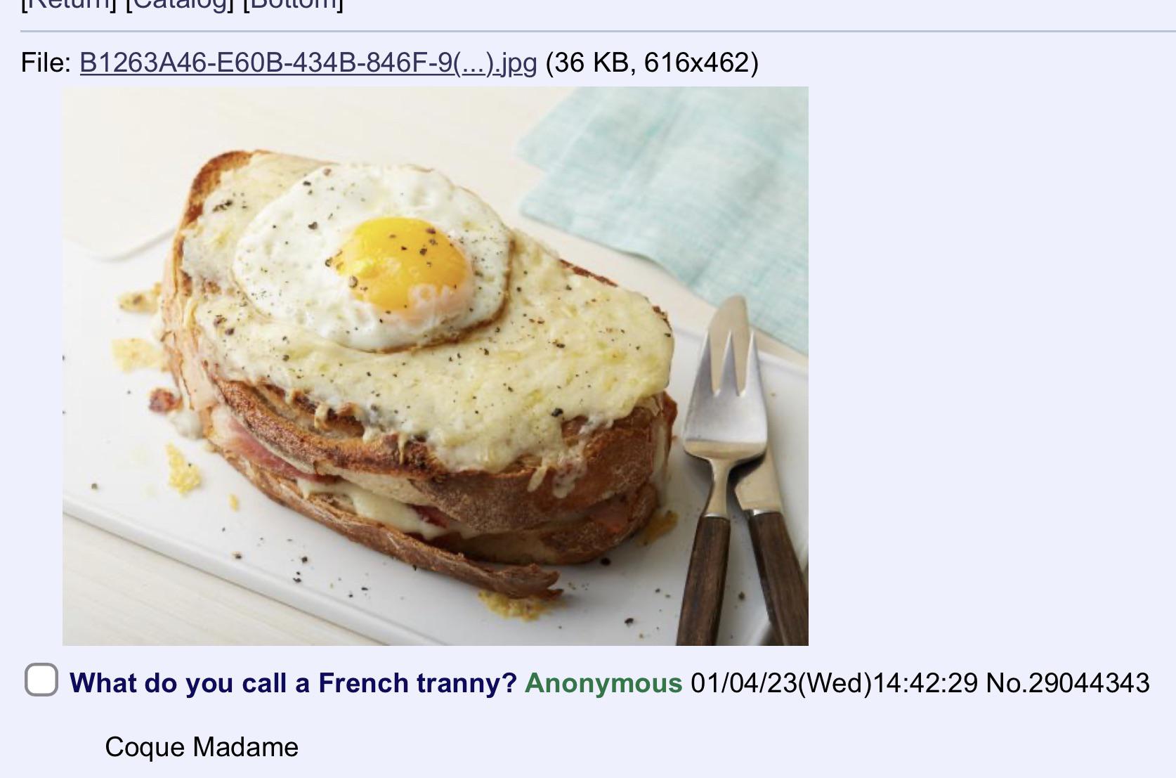 coque.jpg