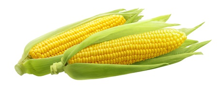 corn.jpg
