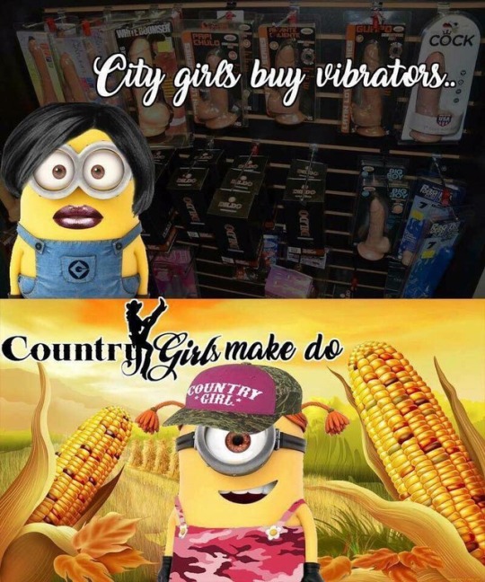 corn.jpg